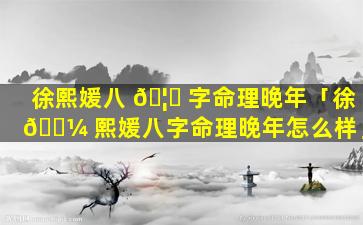 徐熙媛八 🦅 字命理晚年「徐 🌼 熙媛八字命理晚年怎么样」